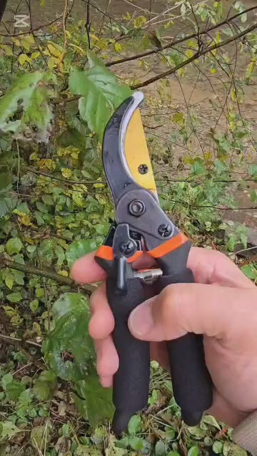 ✂✂✂ Foarfecă profesională pentru vie și grădină din oțel SK5 – tăiere precisă, confort maxim!