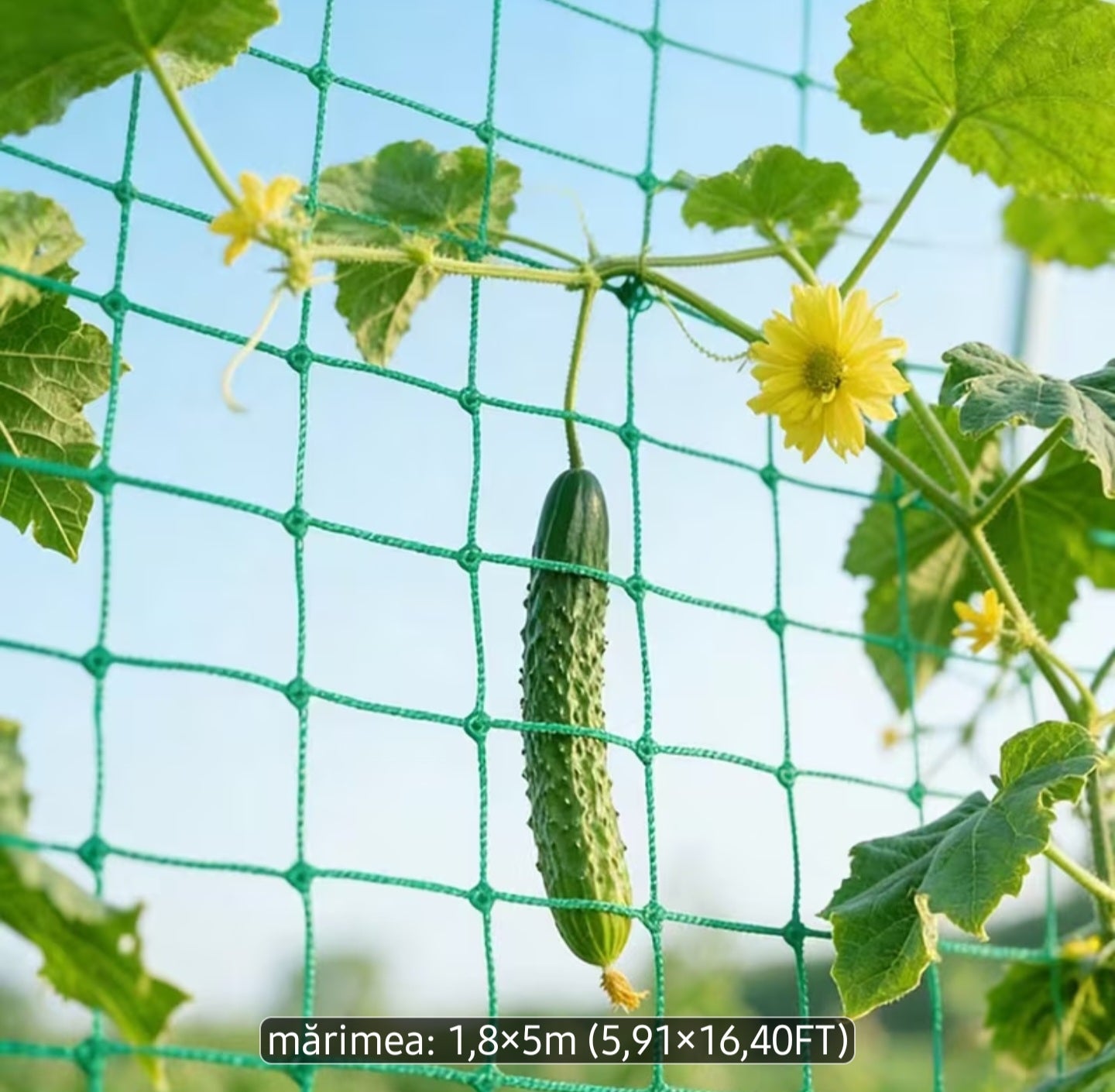 Dimensiuni.   1.8m / 5m.            Plasă de Cătărare pentru Plante, Potrivită pentru Vie, Castraveţi, Legume, Fructe, Flori, Rosii, Fasole....