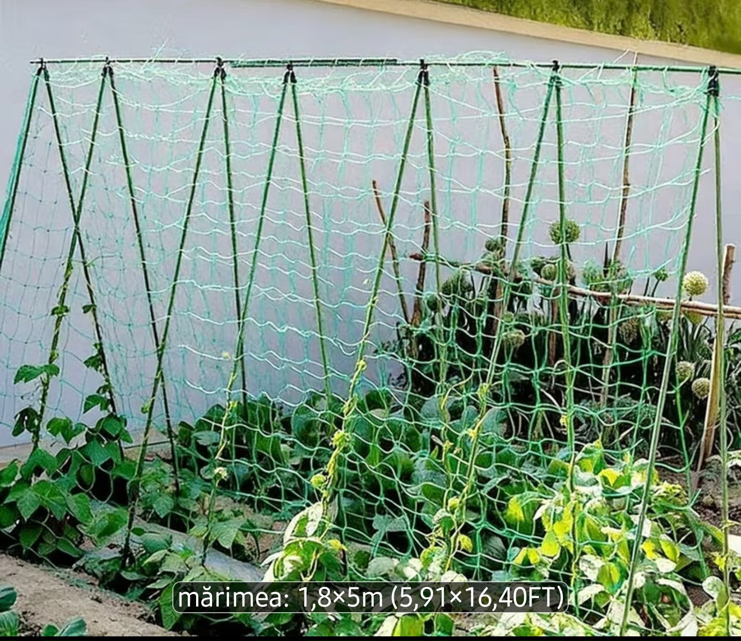 Dimensiuni.   1.8m / 5m.            Plasă de Cătărare pentru Plante, Potrivită pentru Vie, Castraveţi, Legume, Fructe, Flori, Rosii, Fasole....